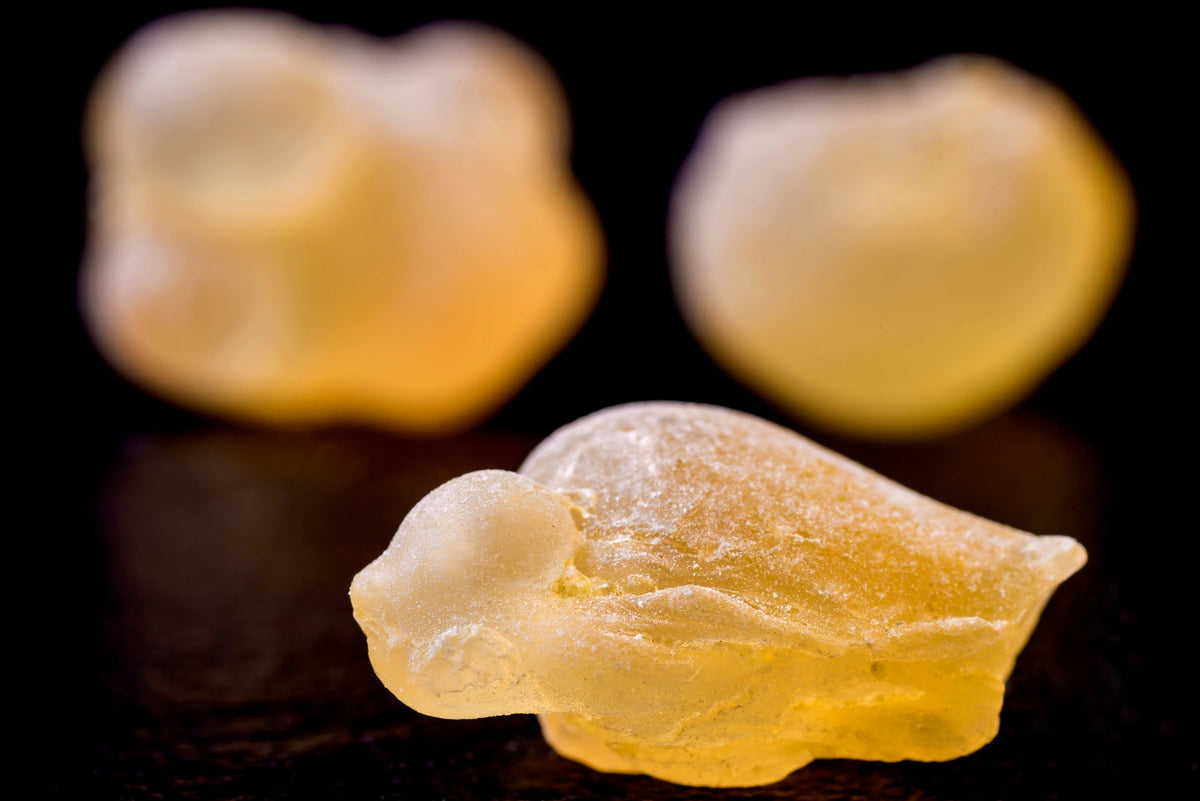 Boswellia Serrata: the ancient resin