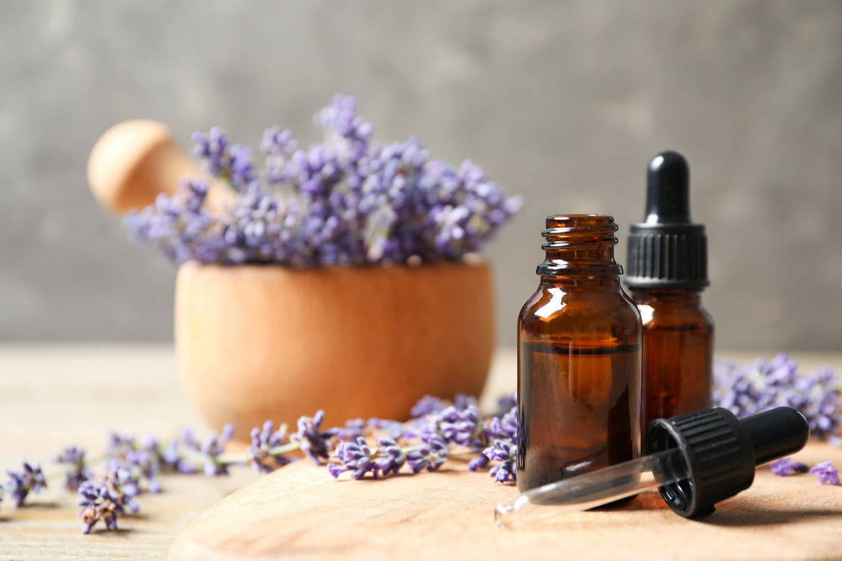Lavender Oil: the timeless aromatic