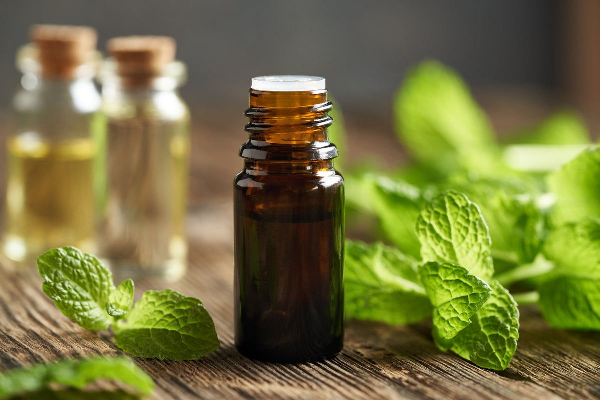 Peppermint / Mint: the cooling classic