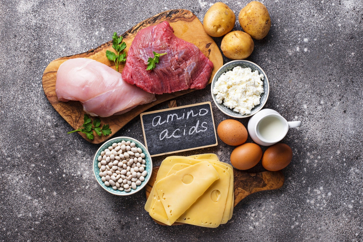Amino Acids (L-Methionine & L-Tryptophan): the building blocks of protein