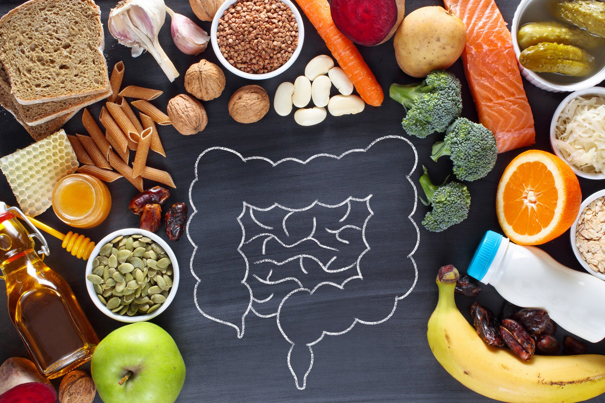 Digestion