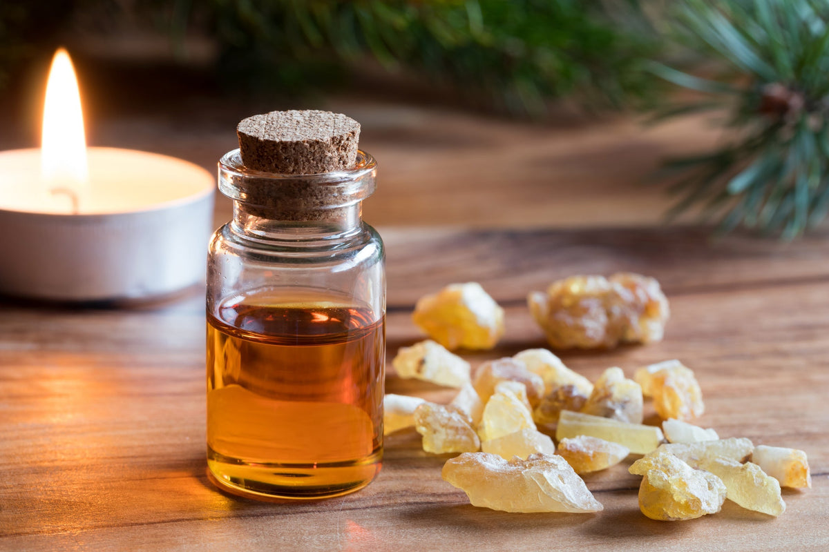 Frankincense Oil: the ancient treasured aromatic