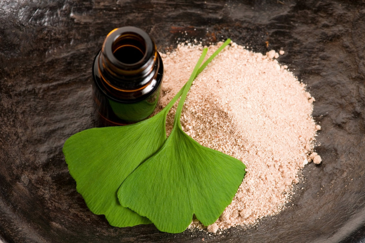 Ginkgo Biloba: the ancient tree extract