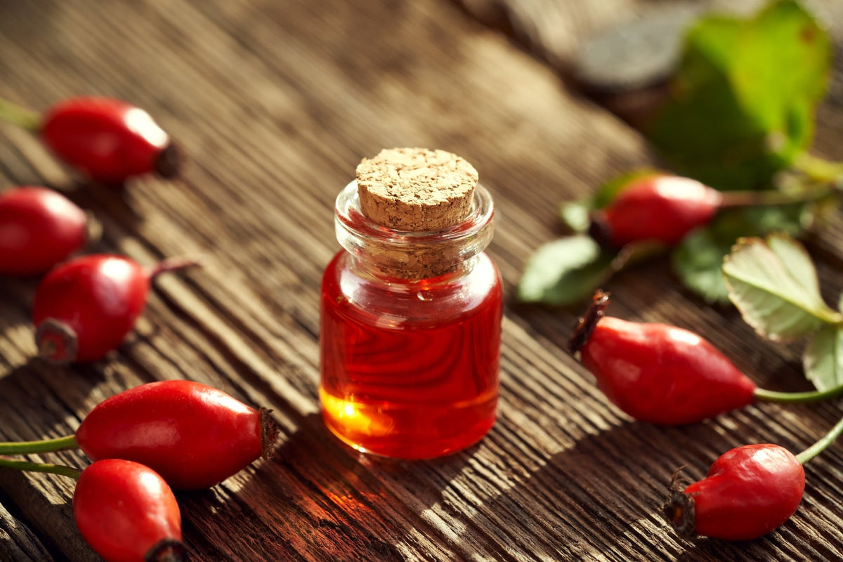 Rosehip Oil: the prized botanical oil