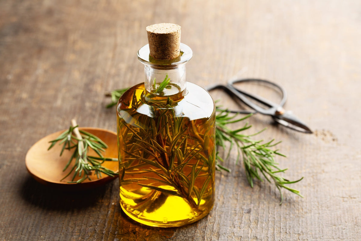 Rosemary: the invigorating herb