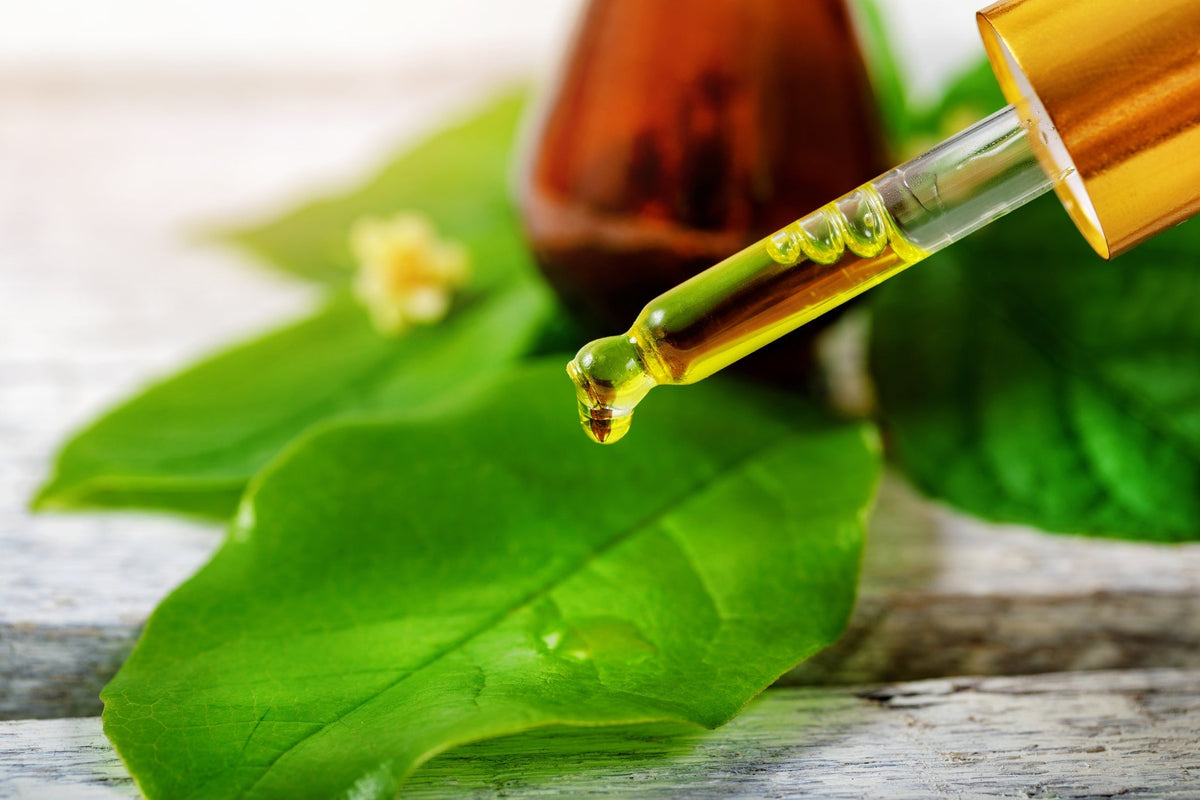 Tea Tree Oil: the well-known clarifying botanical