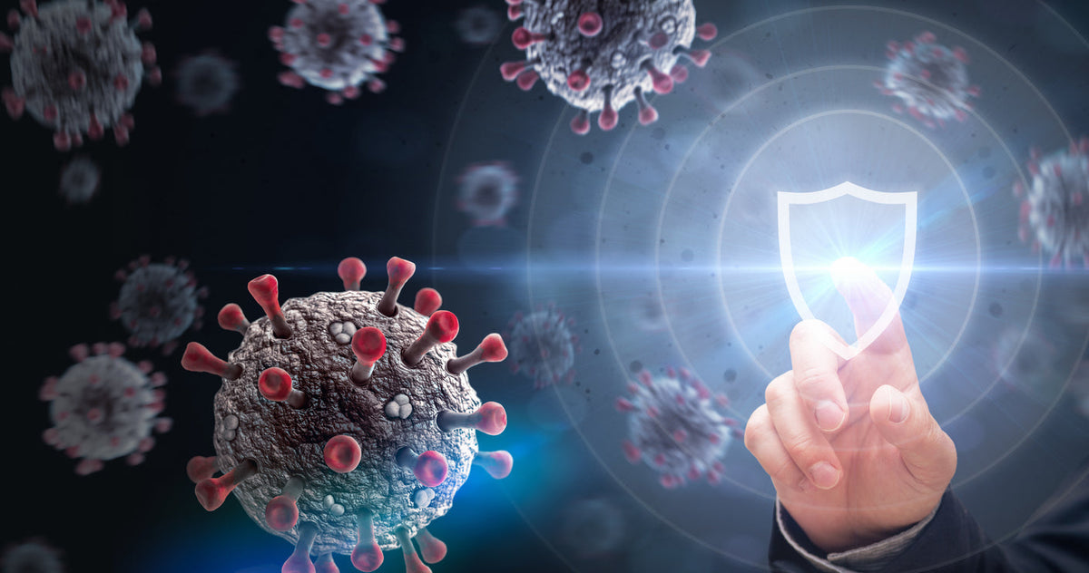 Immune Support