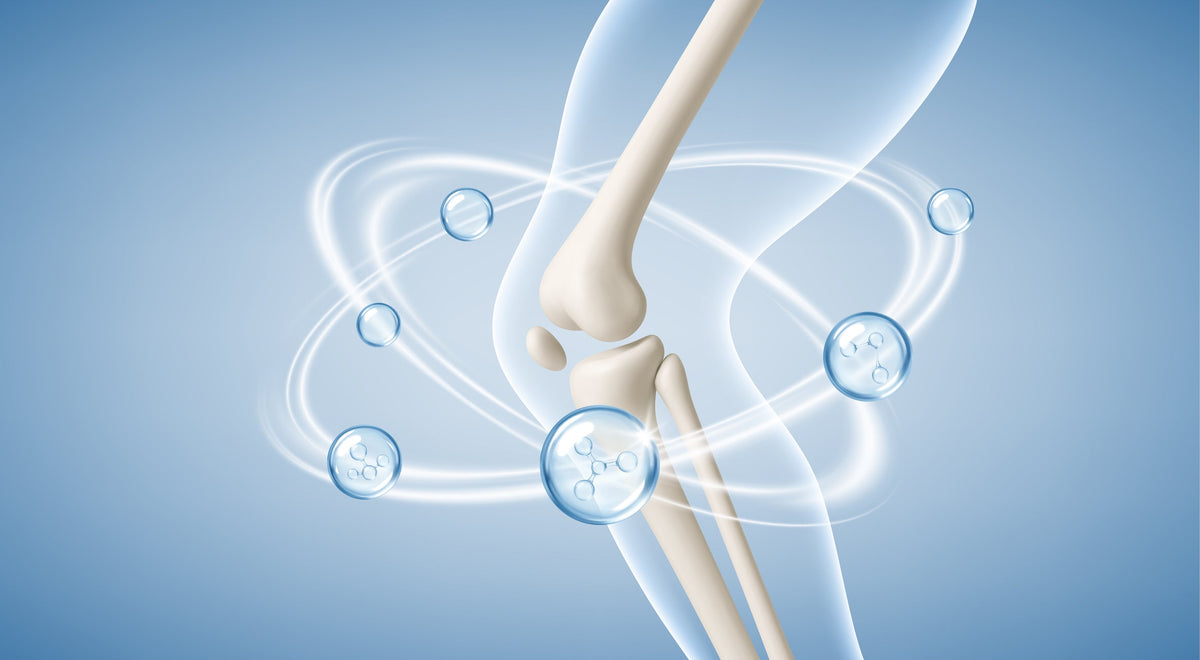 Joint & Mobility